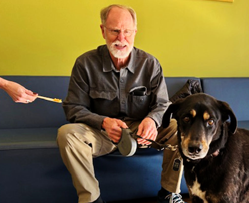 woman hand offering toothbrush to dog with an older man in the background