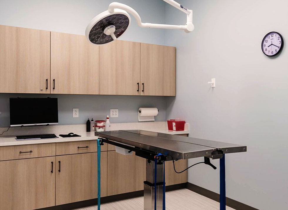 surgery room pet hospital