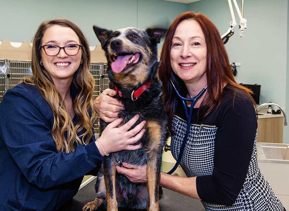 dr dianne saladino and brittani checking a dog